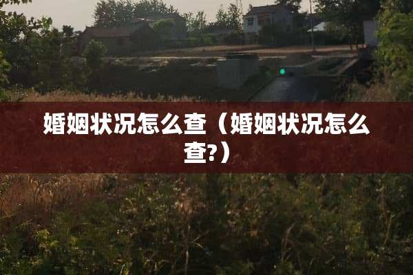 婚姻状况怎么查（婚姻状况怎么查?）