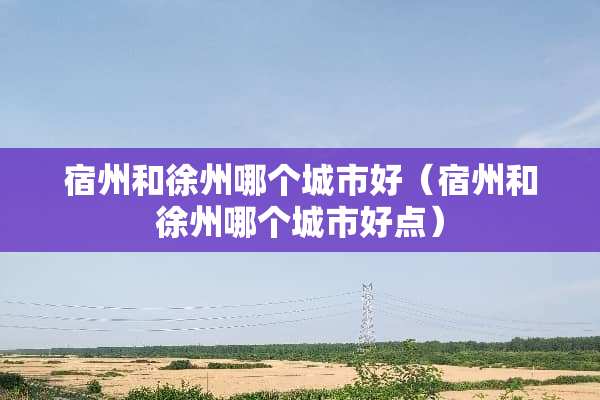 宿州和徐州哪个城市好（宿州和徐州哪个城市好点）