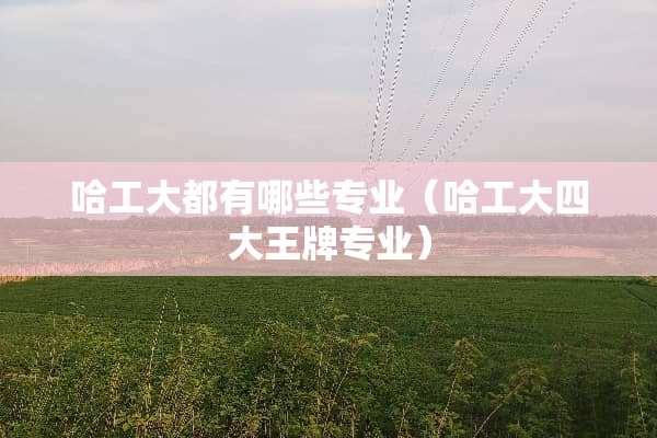 哈工大都有哪些专业（哈工大四大王牌专业）