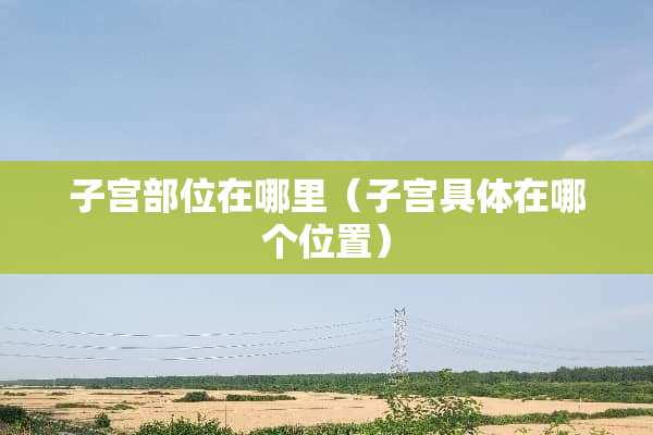 子宫部位在哪里（子宫具体在哪个位置）