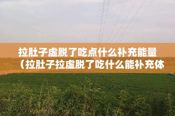 拉肚子虚脱了吃点什么补充能量（拉肚子拉虚脱了吃什么能补充体力）