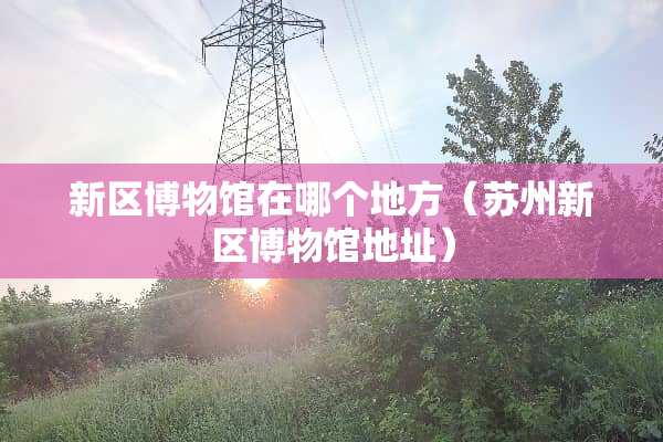 新区博物馆在哪个地方（苏州新区博物馆地址）