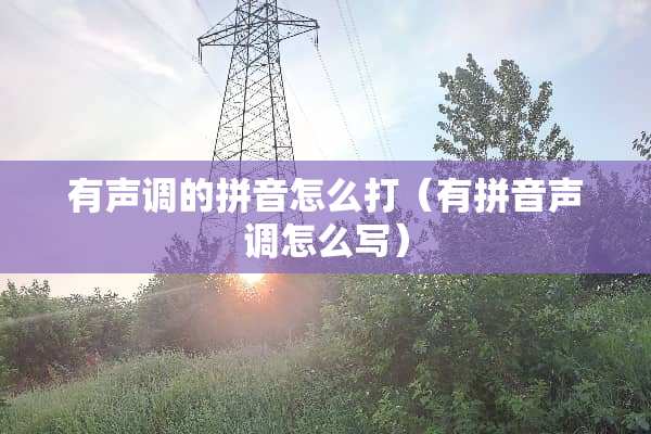有声调的拼音怎么打（有拼音声调怎么写）