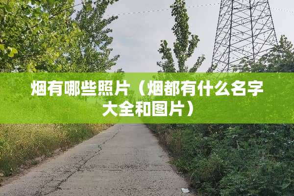 烟有哪些照片（烟都有什么名字大全和图片）