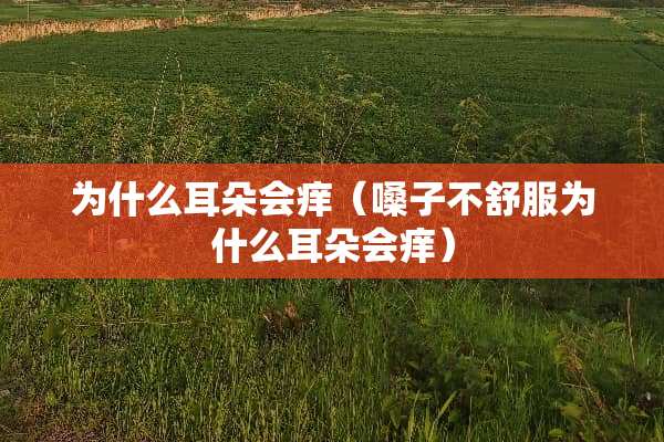 为什么耳朵会痒（嗓子不舒服为什么耳朵会痒）