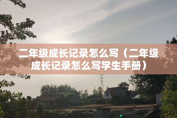 二年级成长记录怎么写（二年级成长记录怎么写学生手册）