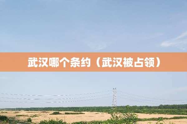 武汉哪个条约（武汉被占领）