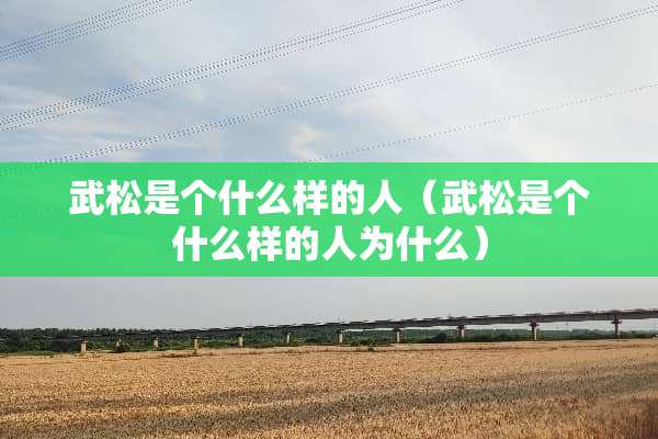 武松是个什么样的人（武松是个什么样的人为什么）