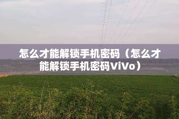 怎么才能解锁手机密码（怎么才能解锁手机密码ViVo）
