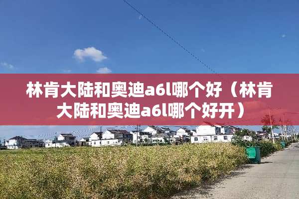 林肯**和奥迪a6l哪个好（林肯**和奥迪a6l哪个好开）