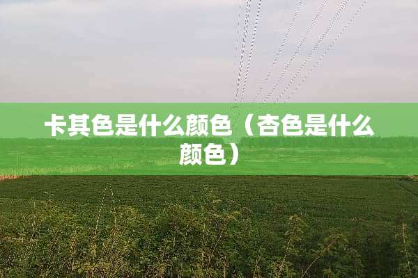 卡其色是什么颜色（杏色是什么颜色）