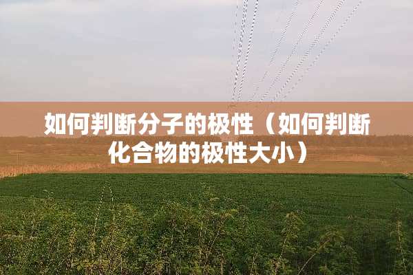 如何判断分子的极性（如何判断化合物的极性大小）