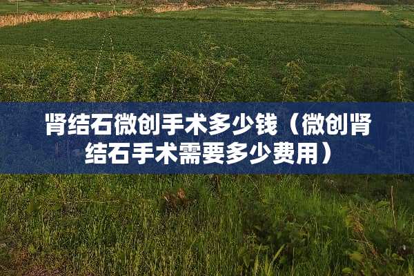 肾结石微创手术多少钱（微创肾结石手术需要多少费用）