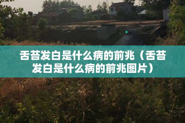 舌苔发白是什么病的前兆（舌苔发白是什么病的前兆图片）