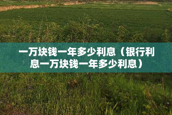一万块钱一年多少利息（银行利息一万块钱一年多少利息）