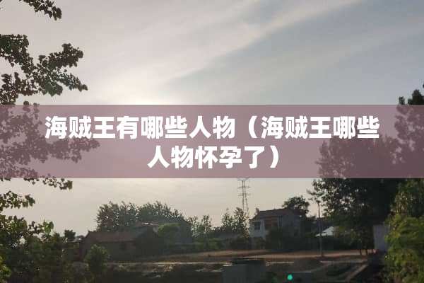 海贼王有哪些人物（海贼王哪些人物怀孕了）