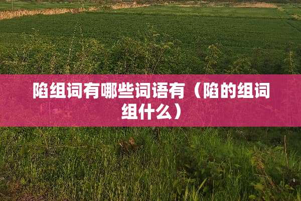 陷组词有哪些词语有（陷的组词组什么）