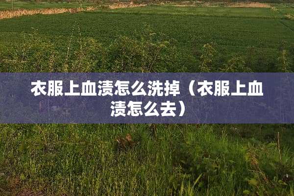 衣服上血渍怎么洗掉（衣服上血渍怎么去）