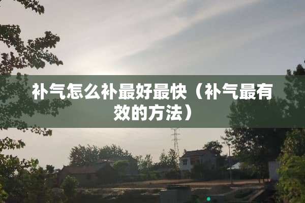 补气怎么补最好最快（补气最有效的方法）
