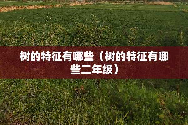 树的特征有哪些（树的特征有哪些二年级）