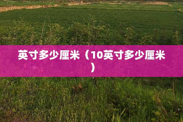 英寸多少厘米（10英寸多少厘米）