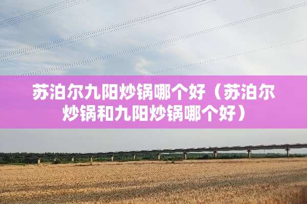 苏泊尔九阳炒锅哪个好（苏泊尔炒锅和九阳炒锅哪个好）