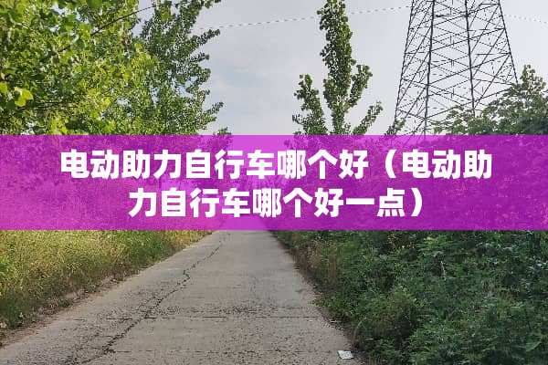 电动助力自行车哪个好（电动助力自行车哪个好一点）