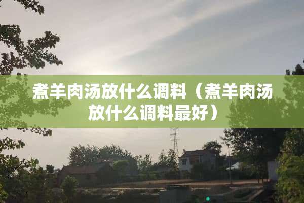 煮羊肉汤放什么调料（煮羊肉汤放什么调料最好）