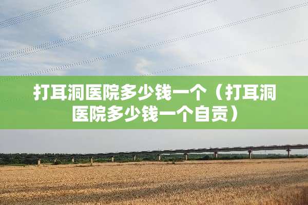 打耳洞医院多少钱一个（打耳洞医院多少钱一个自贡）