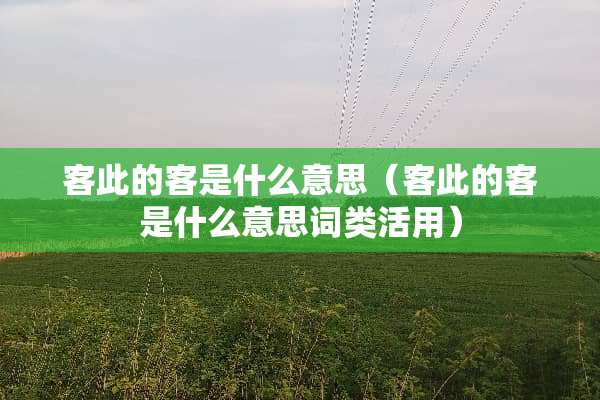 客此的客是什么意思（客此的客是什么意思词类活用）