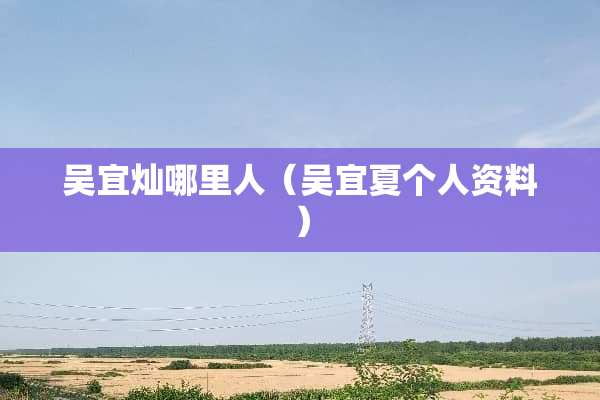 吴宜灿哪里人（吴宜夏个人资料）
