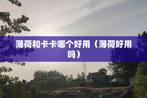 薄荷和卡卡哪个好用（薄荷好用吗）