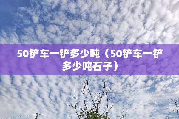 50铲车一铲多少吨（50铲车一铲多少吨石子）