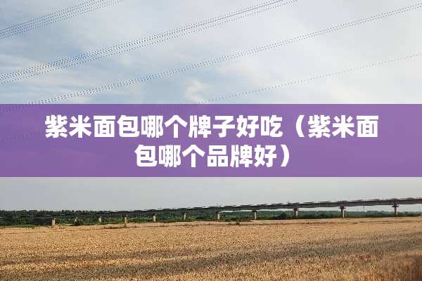 紫米面包哪个牌子好吃（紫米面包哪个品牌好）