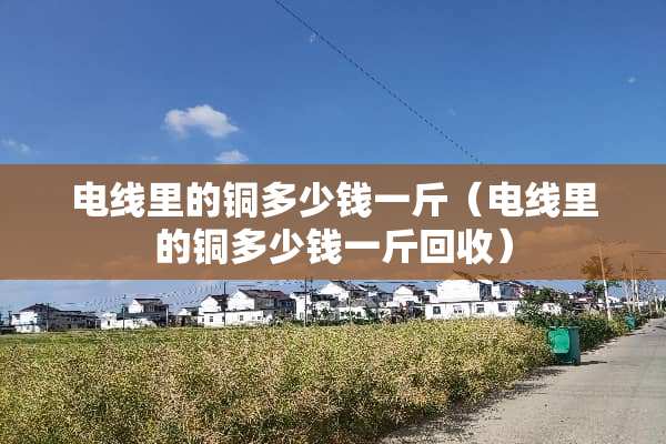 电线里的铜多少钱一斤（电线里的铜多少钱一斤回收）