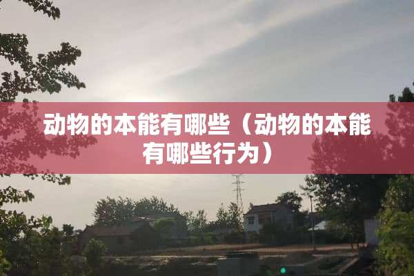 动物的本能有哪些（动物的本能有哪些行为）