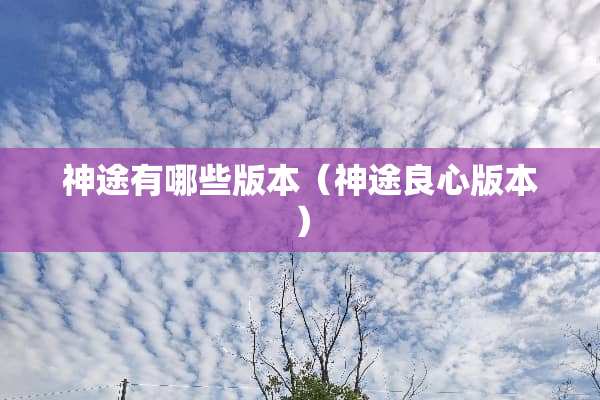 神途有哪些版本（神途良心版本）