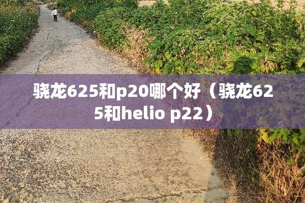 骁龙625和p20哪个好（骁龙625和helio p22）