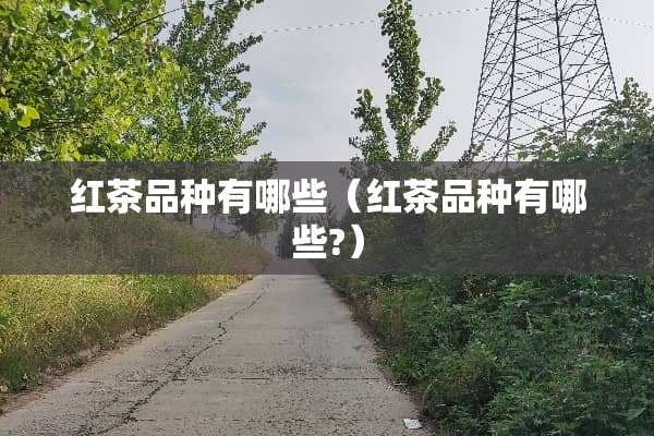 红茶品种有哪些（红茶品种有哪些?）