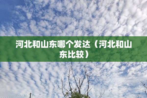河北和山东哪个发达（河北和山东比较）