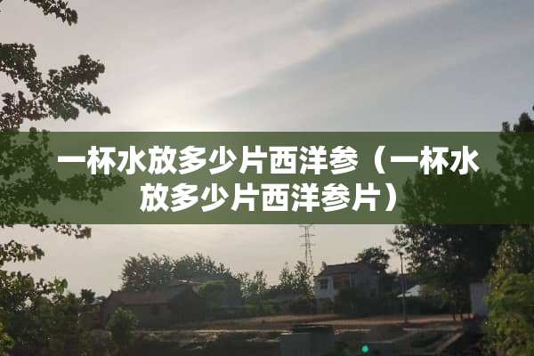 一杯水放多少片西洋参（一杯水放多少片西洋参片）