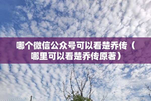 哪个微信公众号可以看楚乔传（哪里可以看楚乔传原著）