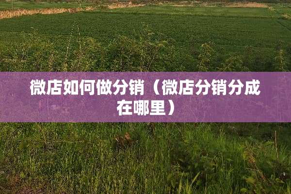 微店如何做分销（微店分销分成在哪里）