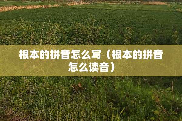 根本的拼音怎么写（根本的拼音怎么读音）