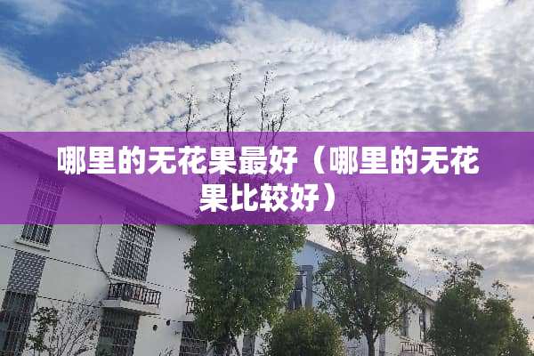 哪里的无花果最好（哪里的无花果比较好）