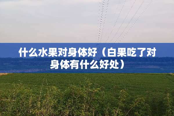 什么水果对身体好（白果吃了对身体有什么好处）