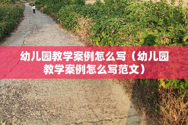 幼儿园教学案例怎么写（幼儿园教学案例怎么写范文）