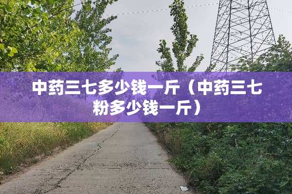 中药三七多少钱一斤（中药三七粉多少钱一斤）