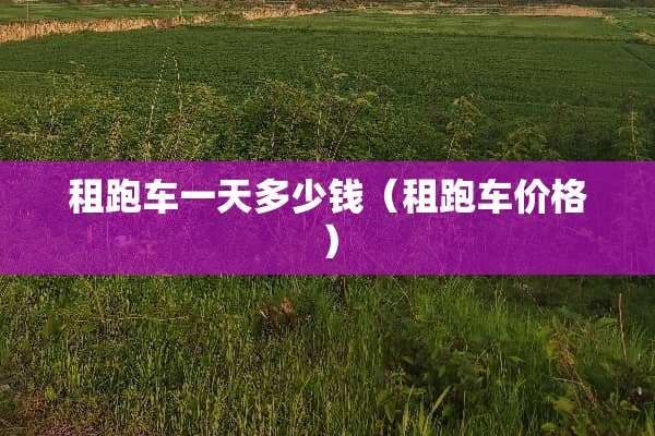 租跑车一天多少钱（租跑车价格）
