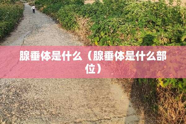 腺垂体是什么（腺垂体是什么部位）